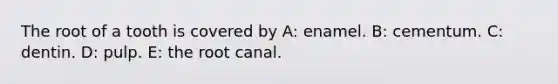 The root of a tooth is covered by A: enamel. B: cementum. C: dentin. D: pulp. E: the root canal.