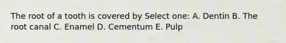 The root of a tooth is covered by Select one: A. Dentin B. The root canal C. Enamel D. Cementum E. Pulp