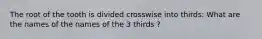 The root of the tooth is divided crosswise into thirds: What are the names of the names of the 3 thirds ?