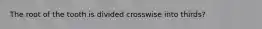 The root of the tooth is divided crosswise into thirds?