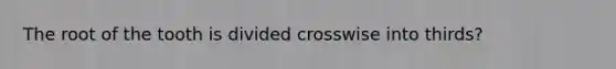 The root of the tooth is divided crosswise into thirds?