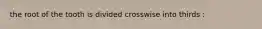 the root of the tooth is divided crosswise into thirds :