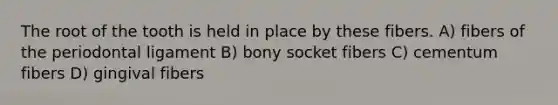 The root of the tooth is held in place by these fibers. A) fibers of the periodontal ligament B) bony socket fibers C) cementum fibers D) gingival fibers
