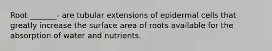 Root _______- are tubular extensions of epidermal cells that greatly increase the surface area of roots available for the absorption of water and nutrients.