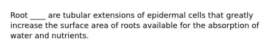 Root ____ are tubular extensions of epidermal cells that greatly increase the surface area of roots available for the absorption of water and nutrients.