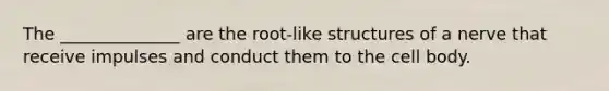 The ______________ are the root-like structures of a nerve that receive impulses and conduct them to the cell body.