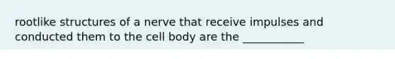 rootlike structures of a nerve that receive impulses and conducted them to the cell body are the ___________