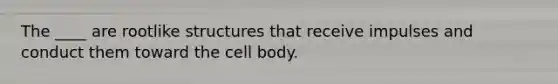 The ____ are rootlike structures that receive impulses and conduct them toward the cell body.