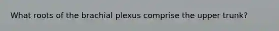 What roots of the brachial plexus comprise the upper trunk?