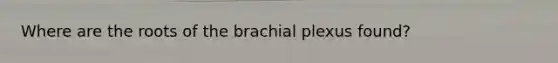 Where are the roots of the brachial plexus found?