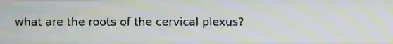 what are the roots of the cervical plexus?