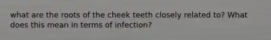 what are the roots of the cheek teeth closely related to? What does this mean in terms of infection?