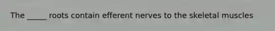 The _____ roots contain efferent nerves to the skeletal muscles