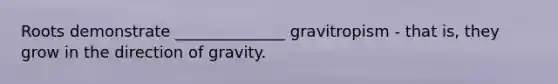 Roots demonstrate ______________ gravitropism - that is, they grow in the direction of gravity.