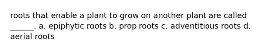 roots that enable a plant to grow on another plant are called ______. a. epiphytic roots b. prop roots c. adventitious roots d. aerial roots