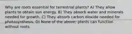 Why are roots essential for terrestrial plants? A) They allow plants to obtain sun energy. B) They absorb water and minerals needed for growth. C) They absorb carbon dioxide needed for photosynthesis. D) None of the above; plants can function without roots.