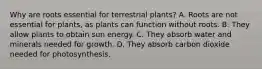 Why are roots essential for terrestrial plants? A. Roots are not essential for plants, as plants can function without roots. B. They allow plants to obtain sun energy. C. They absorb water and minerals needed for growth. D. They absorb carbon dioxide needed for photosynthesis.