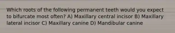 Which roots of the following permanent teeth would you expect to bifurcate most often? A) Maxillary central incisor B) Maxillary lateral incisor C) Maxillary canine D) Mandibular canine