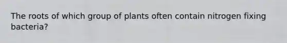 The roots of which group of plants often contain nitrogen fixing bacteria?