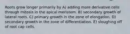 Roots grow longer primarily by A) adding more derivative cells through mitosis in the apical meristem. B) secondary growth of lateral roots. C) primary growth in the zone of elongation. D) secondary growth in the zone of differentiation. E) sloughing off of root cap cells.