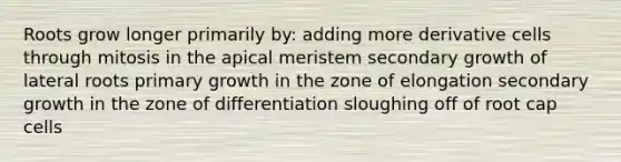 Roots grow longer primarily by: adding more derivative cells through mitosis in the apical meristem secondary growth of lateral roots primary growth in the zone of elongation secondary growth in the zone of differentiation sloughing off of root cap cells