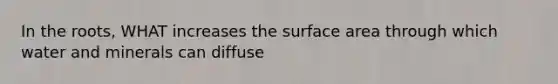 In the roots, WHAT increases the surface area through which water and minerals can diffuse