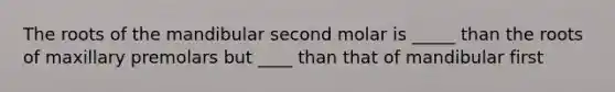 The roots of the mandibular second molar is _____ than the roots of maxillary premolars but ____ than that of mandibular first