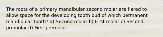 The roots of a primary mandibular second molar are flared to allow space for the developing tooth bud of which permanent mandibular tooth? a) Second molar b) First molar c) Second premolar d) First premolar