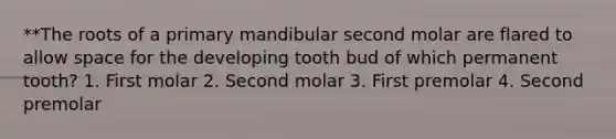 **The roots of a primary mandibular second molar are flared to allow space for the developing tooth bud of which permanent tooth? 1. First molar 2. Second molar 3. First premolar 4. Second premolar