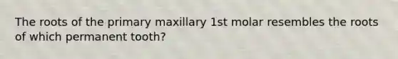 The roots of the primary maxillary 1st molar resembles the roots of which permanent tooth?