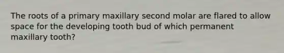 The roots of a primary maxillary second molar are flared to allow space for the developing tooth bud of which permanent maxillary tooth?