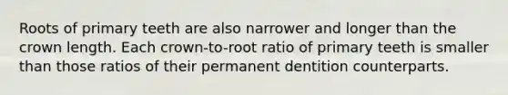 Roots of primary teeth are also narrower and longer than the crown length. Each crown-to-root ratio of primary teeth is smaller than those ratios of their permanent dentition counterparts.