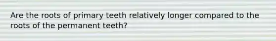 Are the roots of primary teeth relatively longer compared to the roots of the permanent teeth?