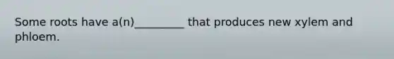 Some roots have a(n)_________ that produces new xylem and phloem.