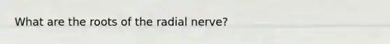 What are the roots of the radial nerve?