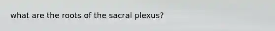 what are the roots of the sacral plexus?