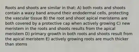 Roots and shoots are similar in that: A) both roots and shoots contain a waxy band around their endodermal cells, protecting the vascular tissue B) the root and shoot apical meristems are both covered by a protective cap when actively growing C) new meristem in the roots and shoots results from the apical meristem D) primary growth in both roots and shoots result from the apical meristem E) actively growing roots are much thicker than stems