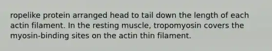 ropelike protein arranged head to tail down the length of each actin filament. In the resting muscle, tropomyosin covers the myosin-binding sites on the actin thin filament.