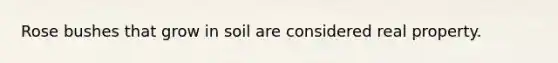 Rose bushes that grow in soil are considered real property.