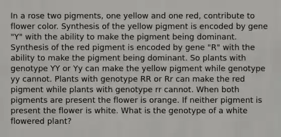 In a rose two pigments, one yellow and one red, contribute to flower color. Synthesis of the yellow pigment is encoded by gene "Y" with the ability to make the pigment being dominant. Synthesis of the red pigment is encoded by gene "R" with the ability to make the pigment being dominant. So plants with genotype YY or Yy can make the yellow pigment while genotype yy cannot. Plants with genotype RR or Rr can make the red pigment while plants with genotype rr cannot. When both pigments are present the flower is orange. If neither pigment is present the flower is white. What is the genotype of a white flowered plant?