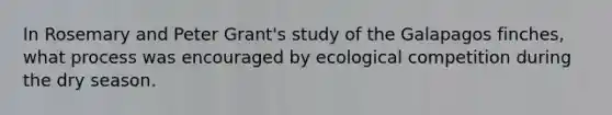 In Rosemary and Peter Grant's study of the Galapagos finches, what process was encouraged by ecological competition during the dry season.