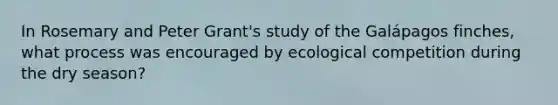 In Rosemary and Peter Grant's study of the Galápagos finches, what process was encouraged by ecological competition during the dry season?