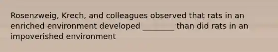 Rosenzweig, Krech, and colleagues observed that rats in an enriched environment developed ________ than did rats in an impoverished environment