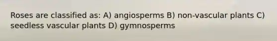 Roses are classified as: A) angiosperms B) non-vascular plants C) seedless vascular plants D) gymnosperms