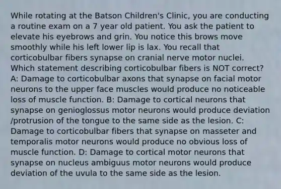 While rotating at the Batson Children's Clinic, you are conducting a routine exam on a 7 year old patient. You ask the patient to elevate his eyebrows and grin. You notice this brows move smoothly while his left lower lip is lax. You recall that corticobulbar fibers synapse on cranial nerve motor nuclei. Which statement describing corticobulbar fibers is NOT correct? A: Damage to corticobulbar axons that synapse on facial motor neurons to the upper face muscles would produce no noticeable loss of muscle function. B: Damage to cortical neurons that synapse on genioglossus motor neurons would produce deviation /protrusion of the tongue to the same side as the lesion. C: Damage to corticobulbar fibers that synapse on masseter and temporalis motor neurons would produce no obvious loss of muscle function. D: Damage to cortical motor neurons that synapse on nucleus ambiguus motor neurons would produce deviation of the uvula to the same side as the lesion.