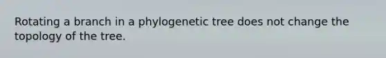 Rotating a branch in a phylogenetic tree does not change the topology of the tree.