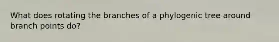 What does rotating the branches of a phylogenic tree around branch points do?