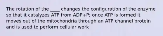 The rotation of the ____ changes the configuration of the enzyme so that it catalyzes ATP from ADP+P; once ATP is formed it moves out of the mitochondria through an ATP channel protein and is used to perform cellular work