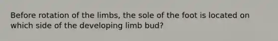 Before rotation of the limbs, the sole of the foot is located on which side of the developing limb bud?