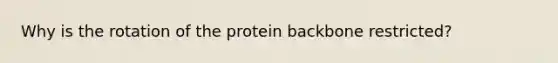 Why is the rotation of the protein backbone restricted?